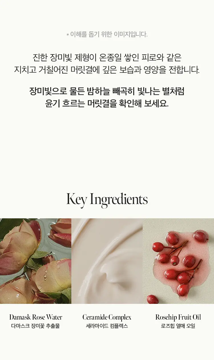 [손상모 케어] 아닐로 로지나잇 리페어 샴푸 450ml 상세페이지 5